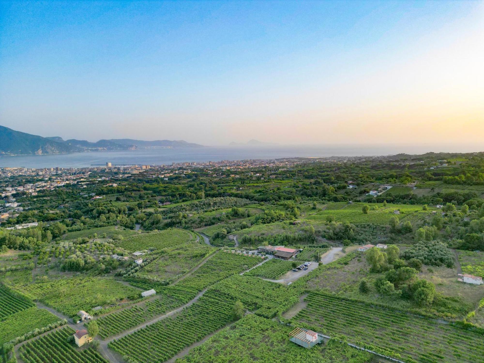 Vesuvio Inn Bed & Wine Experience Boscotrecase Екстер'єр фото