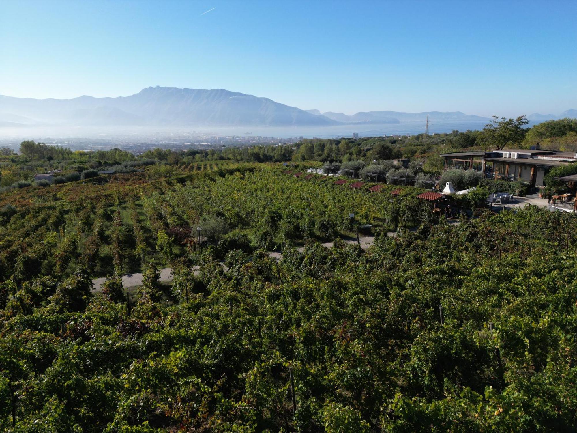 Vesuvio Inn Bed & Wine Experience Boscotrecase Екстер'єр фото