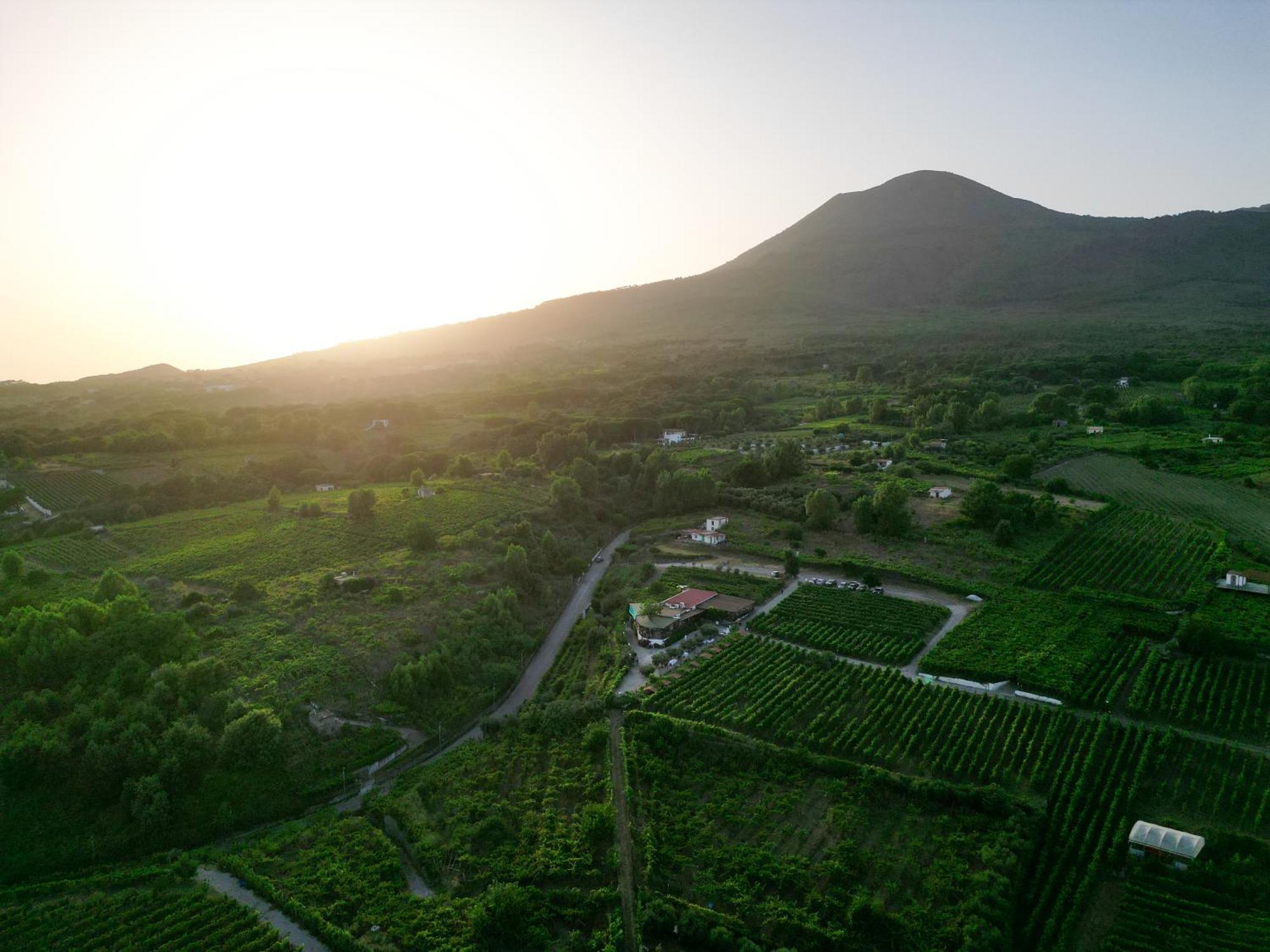 Vesuvio Inn Bed & Wine Experience Boscotrecase Екстер'єр фото