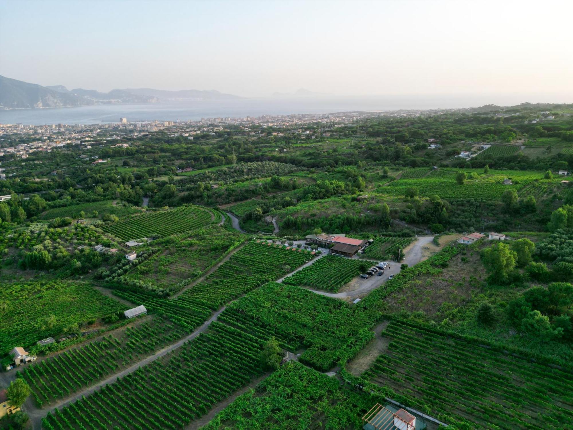 Vesuvio Inn Bed & Wine Experience Boscotrecase Екстер'єр фото