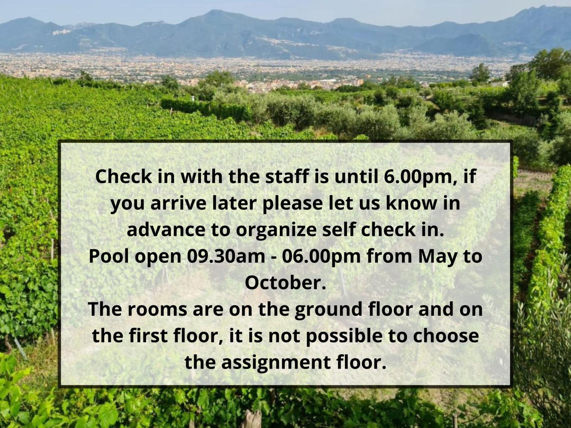 Vesuvio Inn Bed & Wine Experience Boscotrecase Екстер'єр фото