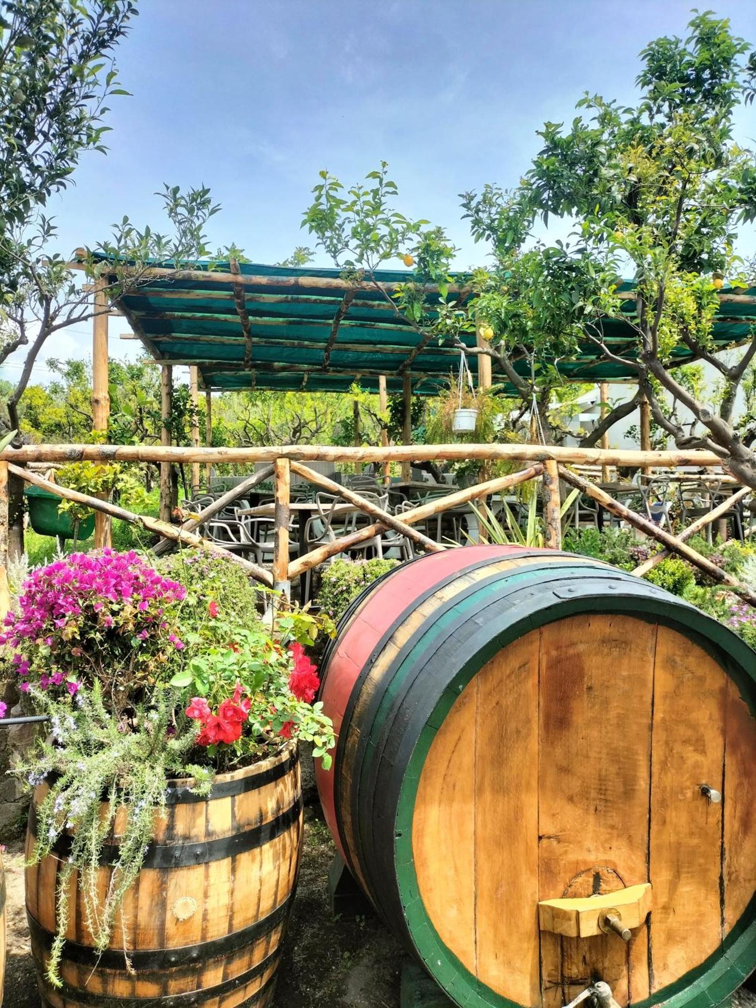 Vesuvio Inn Bed & Wine Experience Boscotrecase Екстер'єр фото