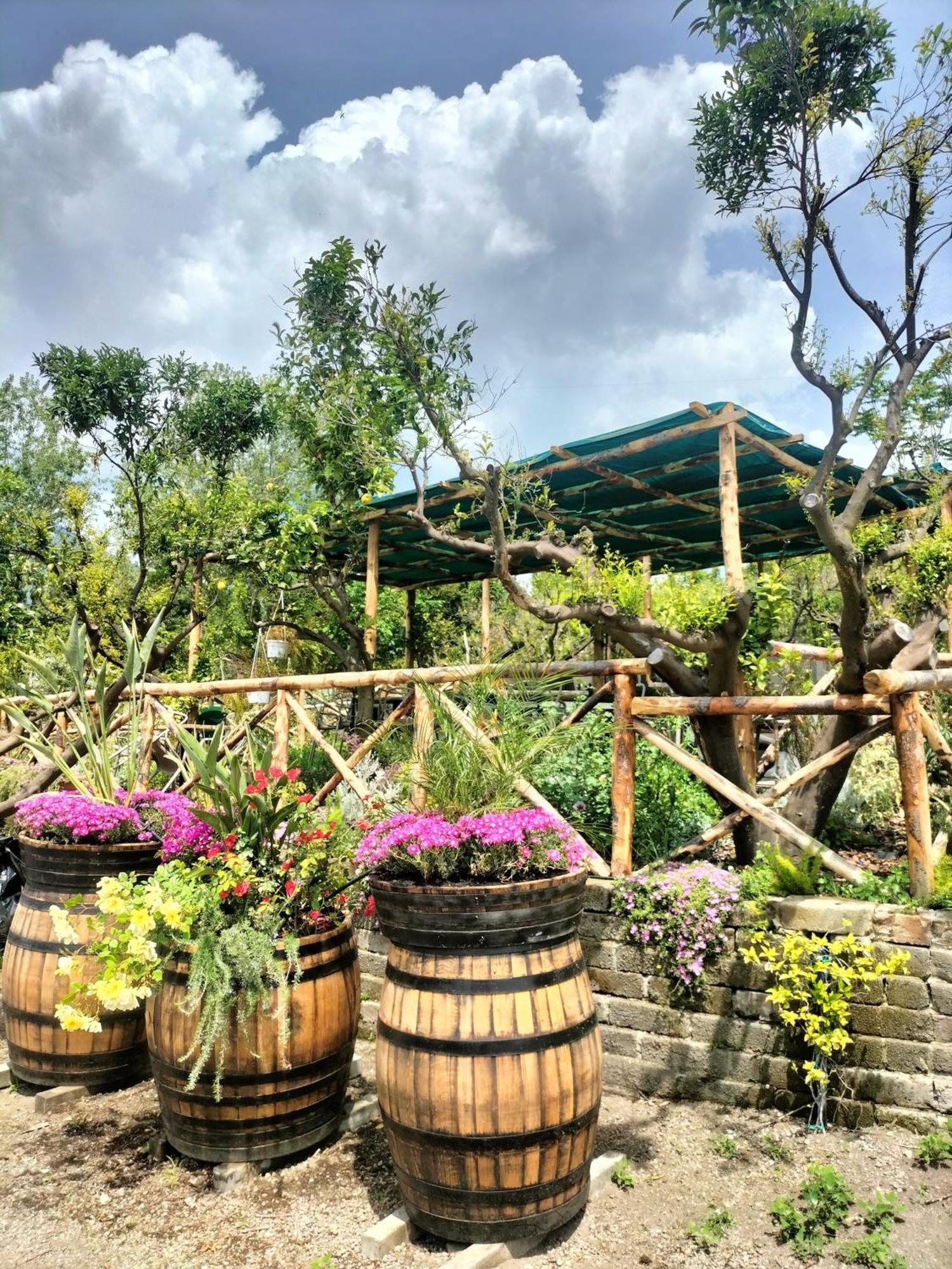 Vesuvio Inn Bed & Wine Experience Boscotrecase Екстер'єр фото